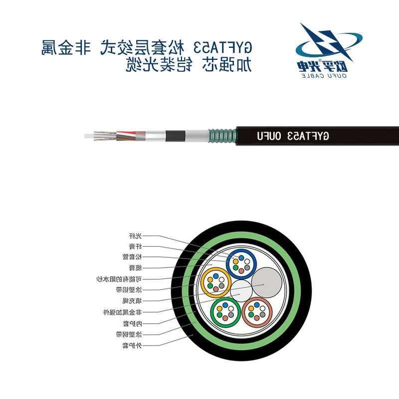 西咸新区GYFTA53光缆